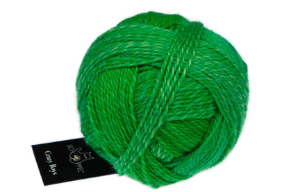 Schoppel Crazy Boys 50g - Treasure Modern Knitting