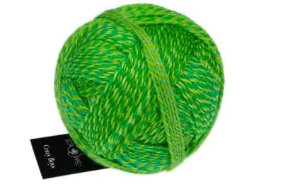 Schoppel Crazy Boys 50g - Treasure Modern Knitting