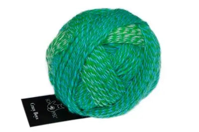 Schoppel Crazy Boys 50g - Treasure Modern Knitting