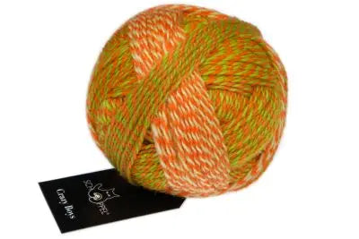 Schoppel Crazy Boys 50g - Treasure Modern Knitting