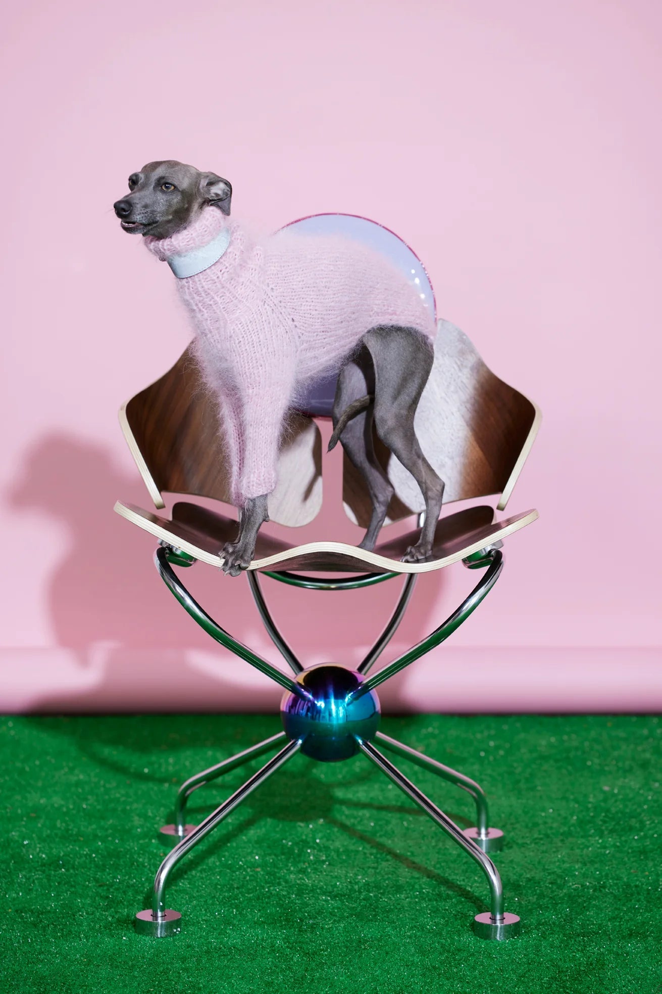 Spektakelstrik Fat Fur Dog Coat bundle includes hardback book with 27 patterns