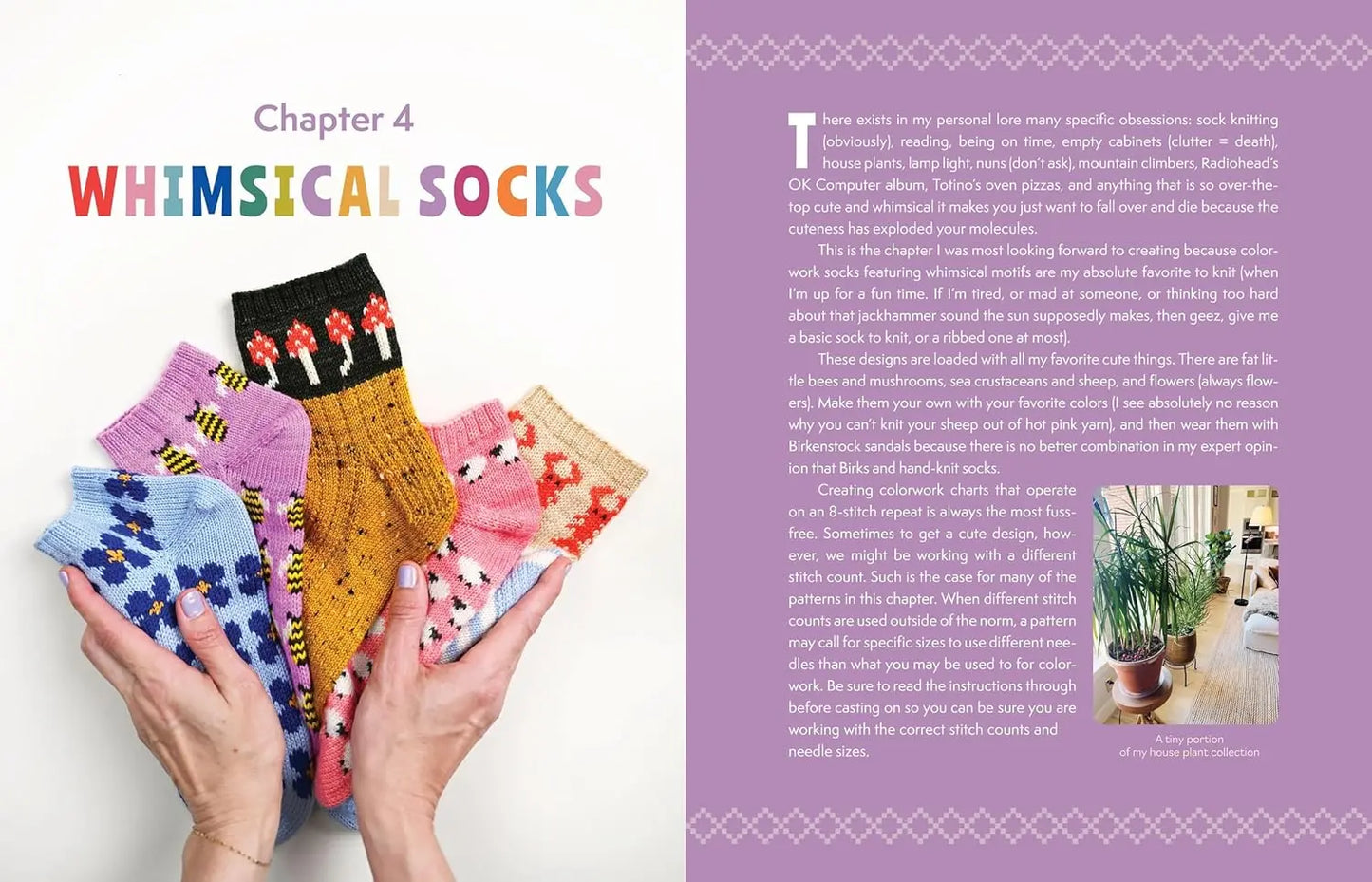 Summer Lee The Sock Obsession Abrams