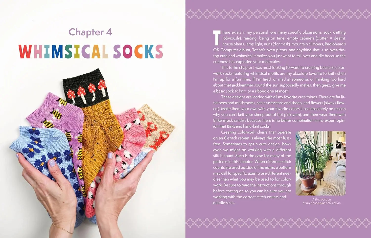 Summer Lee The Sock Obsession Abrams