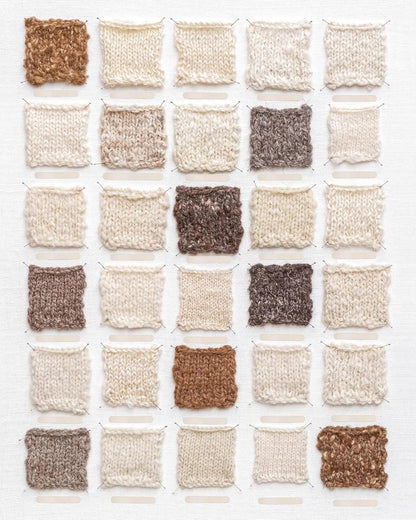 The Wonder of Wool - A Knitter's guide to pure breed sheep