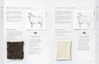 The Wonder of Wool - A Knitter's guide to pure breed sheep