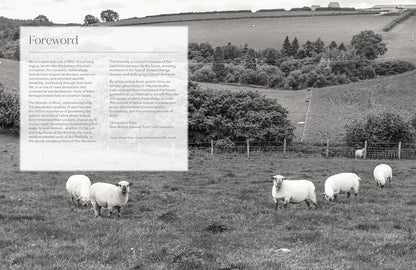 The Wonder of Wool - A Knitter's guide to pure breed sheep